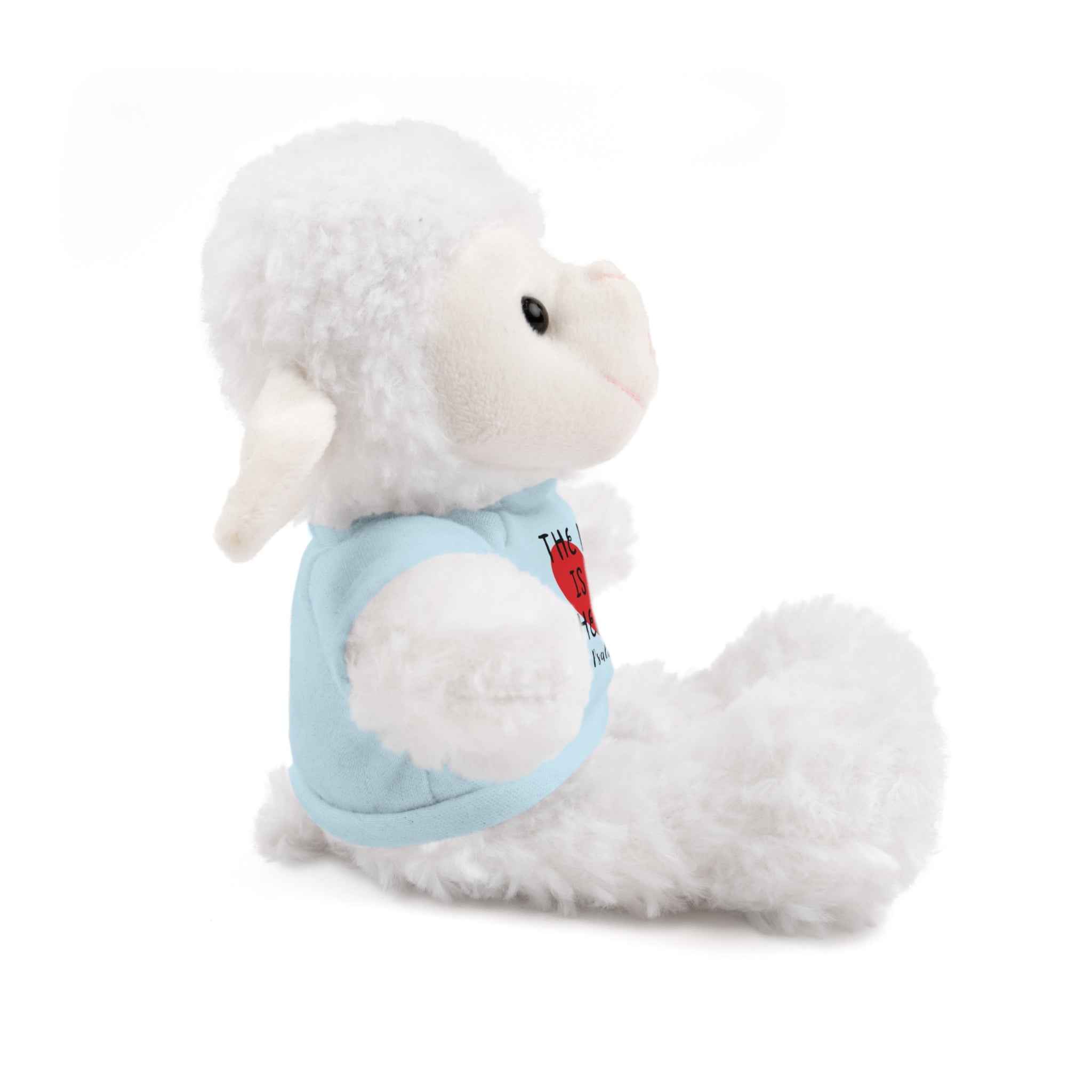 Christian Lamb Stuffed Animals with Bible Verse Tees | Psalm 23
