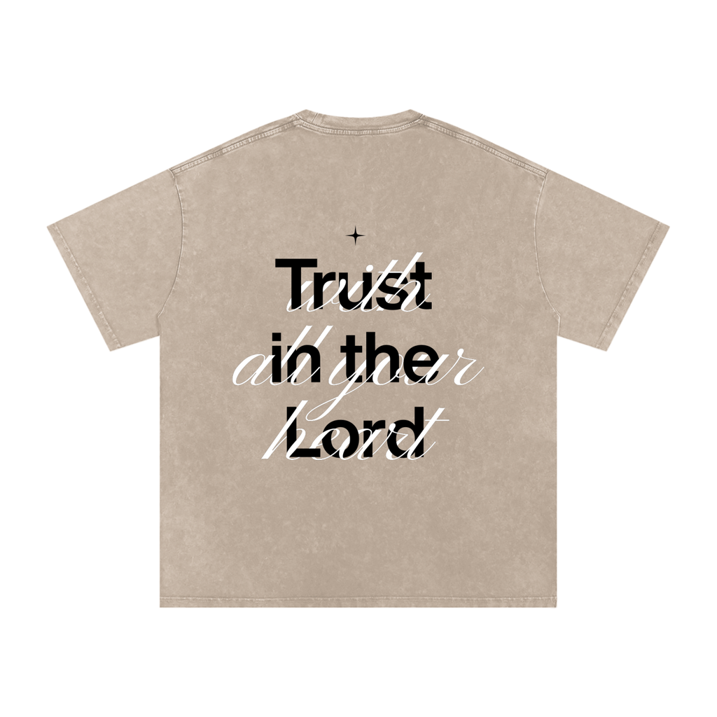 Proverbs 3:5 Snow Washed Oversized Cotton T-Shirt