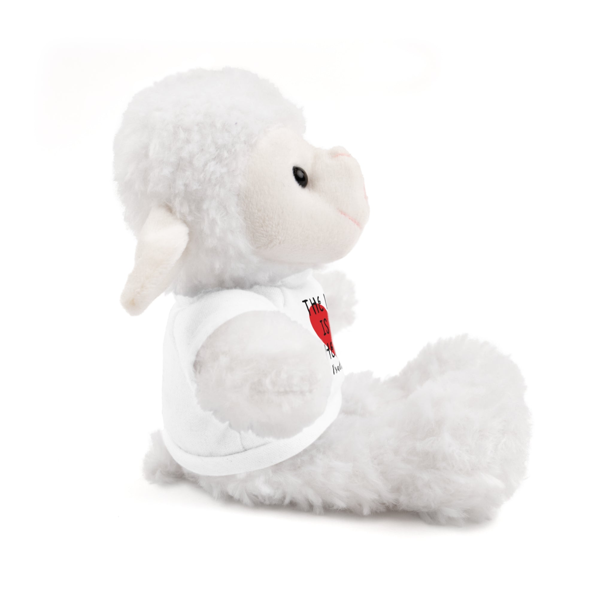 Christian Lamb Stuffed Animals with Bible Verse Tees | Psalm 23